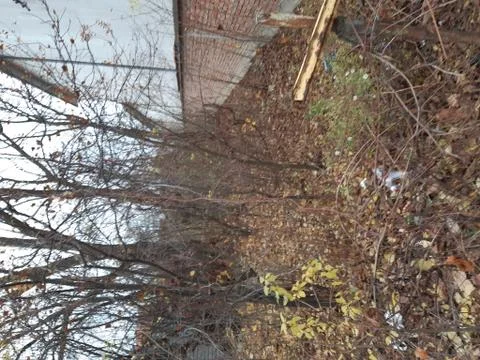 Late fall in the suburbs 3 Stock Photos