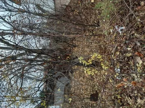 Late fall in the suburbs 4 Stock Photos