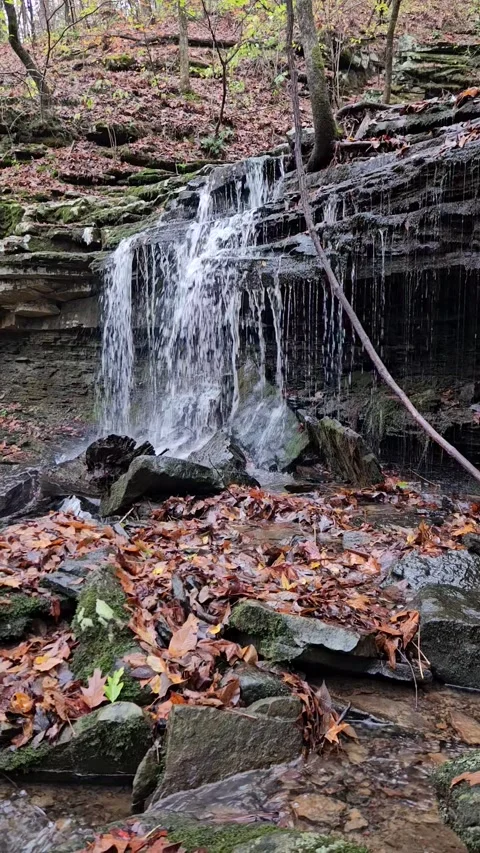 Late Falls in the Fall Stock Footage 303319225