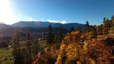 Late Light Fall Orchard Foilage/Fall Colors 4K Aerial Stock Footage 96629014