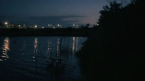 A Late Night Lake Stock Footage 315080962