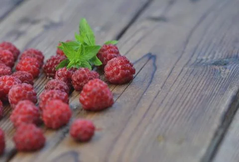 Late raspberry berries are covered with frost on a wooden background among them Stock Photos
