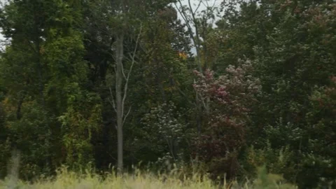 Late Summer with Cloudy Sky 3 Video stock 301575571