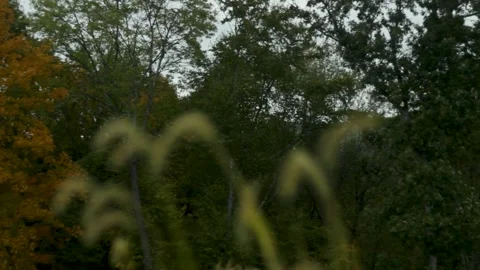 Late Summer with Cloudy Sky Video stock 301575664