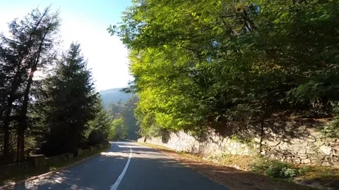 Late Summer Road Stock Footage 143645662