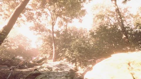 Late summer sunlight breaking through the trees Stock Illustration