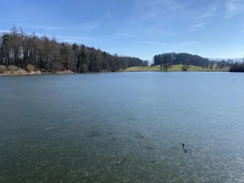 Late winter and early spring on the Bergweiher pond and on the Horgenberg hill Stock Photos