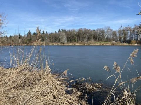 Late winter and early spring on the Bergweiher pond and on the Horgenberg hill Stock Photos