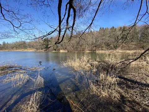 Late winter and early spring on the Bergweiher pond and on the Horgenberg hill Foto stock