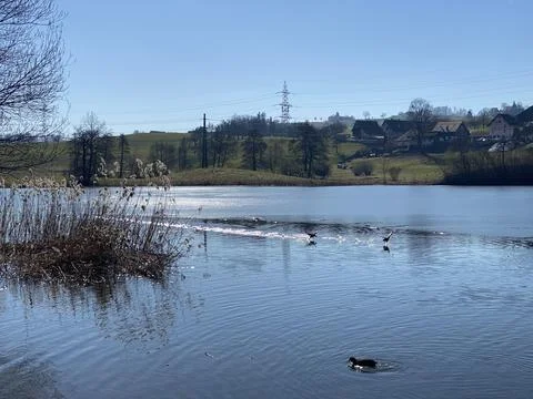Late winter and early spring on the Bergweiher pond and on the Horgenberg hill 스톡 사진