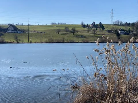 Late winter and early spring on the Bergweiher pond and on the Horgenberg hill Foto stock