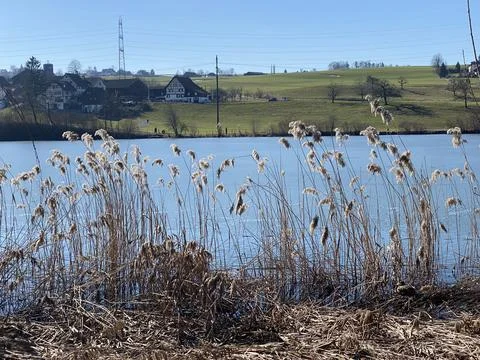 Late winter and early spring on the Bergweiher pond and on the Horgenberg hill Foto stock