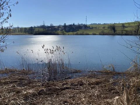 Late winter and early spring on the Bergweiher pond and on the Horgenberg hill Stock Photos