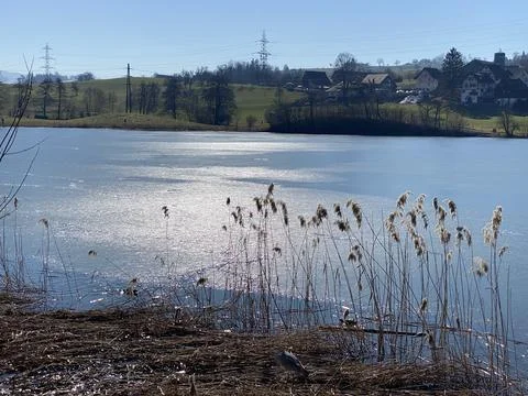 Late winter and early spring on the Bergweiher pond and on the Horgenberg hill Stock Photos