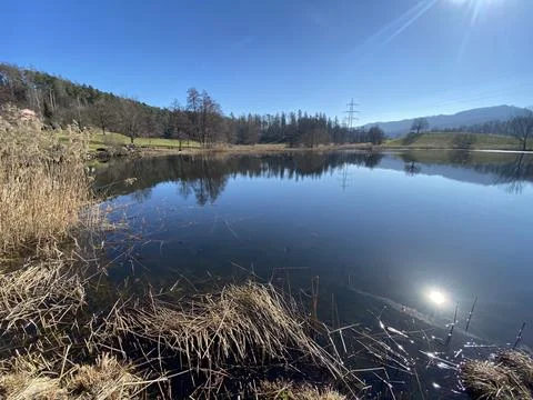 Late winter and early spring on the Gattikerweiher pond, Gattikon Stock Photos