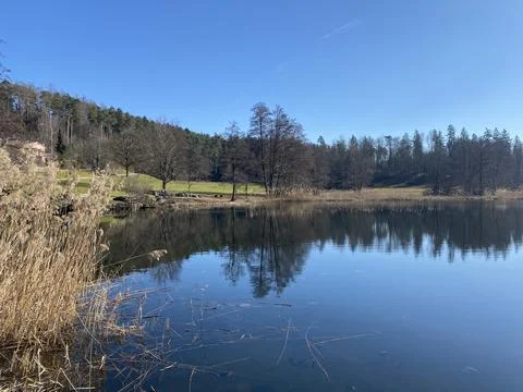 Late winter and early spring on the Gattikerweiher pond, Gattikon Stockfoto's