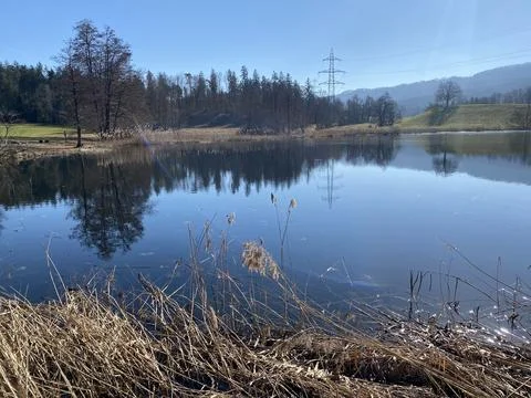 Late winter and early spring on the Gattikerweiher pond, Gattikon Stock Photos
