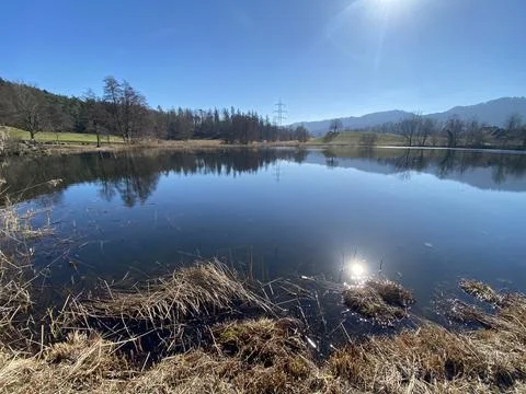 Late winter and early spring on the Gattikerweiher pond, Gattikon Stock Photos