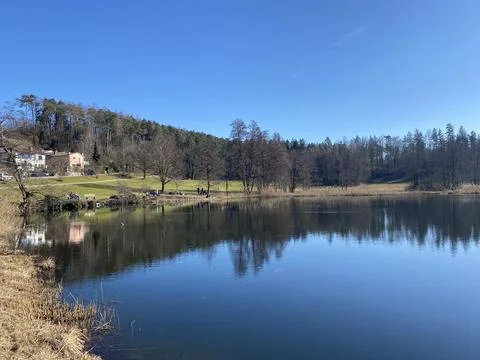Late winter and early spring on the Gattikerweiher pond, Gattikon Foto stock