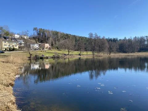 Late winter and early spring on the Gattikerweiher pond, Gattikon Stock Photos