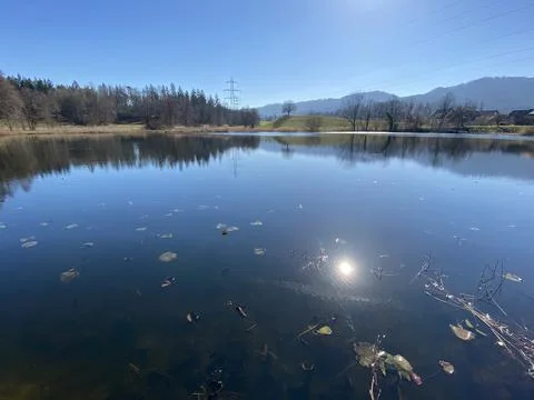 Late winter and early spring on the Gattikerweiher pond, Gattikon 스톡 사진