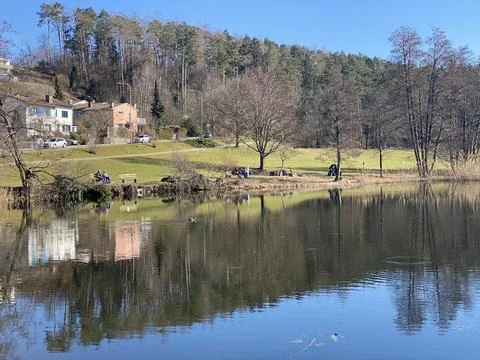 Late winter and early spring on the Gattikerweiher pond, Gattikon Stock Photos