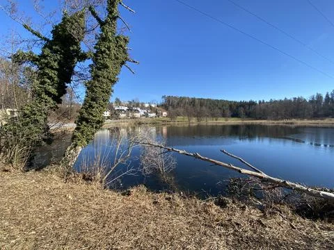 Late winter and early spring on the Gattikerweiher pond, Gattikon Foto stock