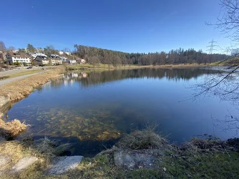 Late winter and early spring on the Gattikerweiher pond, Gattikon Stock Photos