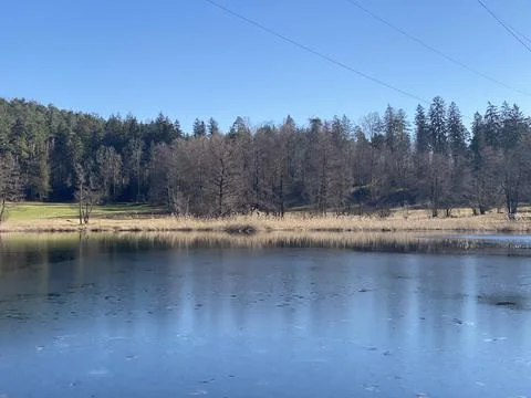 Late winter and early spring on the Gattikerweiher pond, Gattikon Stockfoto's