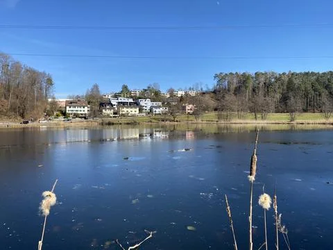 Late winter and early spring on the Gattikerweiher pond, Gattikon Foto stock