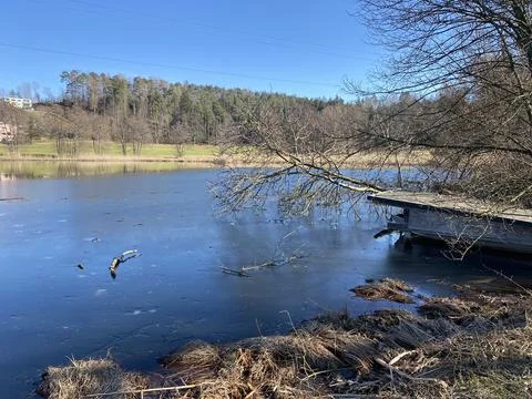 Late winter and early spring on the Gattikerweiher pond, Gattikon Stock Photos