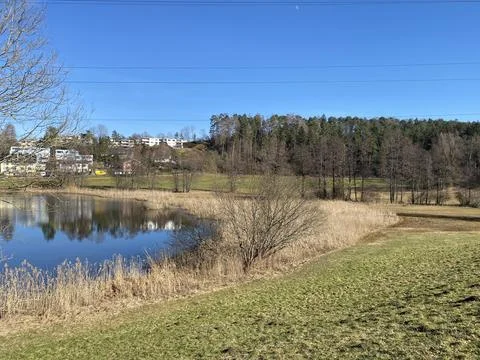 Late winter and early spring on the Gattikerweiher pond, Gattikon Foto stock