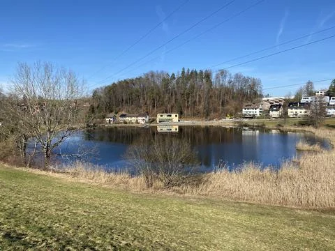 Late winter and early spring on the Gattikerweiher pond, Gattikon Stock Photos