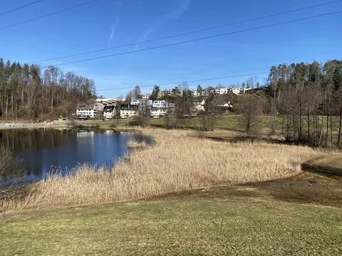 Late winter and early spring on the Gattikerweiher pond, Gattikon Foto stock