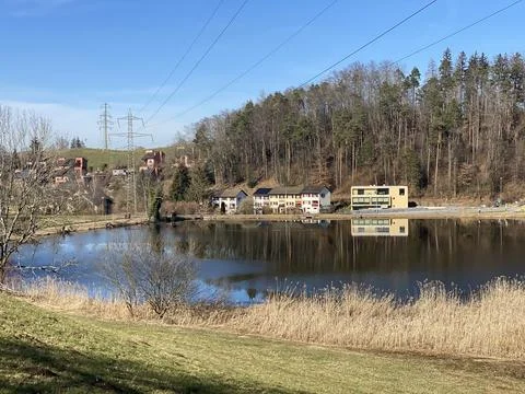 Late winter and early spring on the Gattikerweiher pond, Gattikon Stock Photos