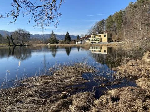 Late winter and early spring on the Gattikerweiher pond, Gattikon Stock Photos