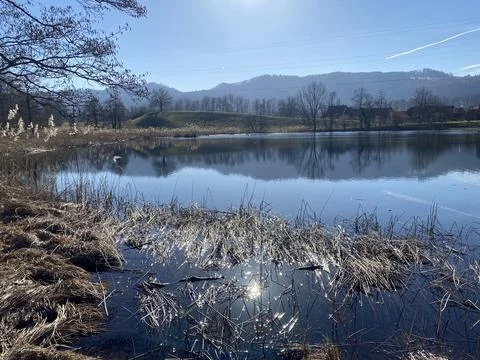 Late winter and early spring on the Gattikerweiher pond, Gattikon Foto stock