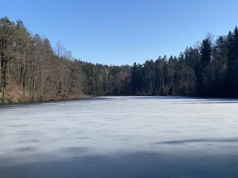 Late winter and early spring on the Waldweiher pond, Gattikon Stockfoto's