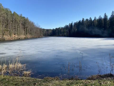 Late winter and early spring on the Waldweiher pond, Gattikon Foto stock