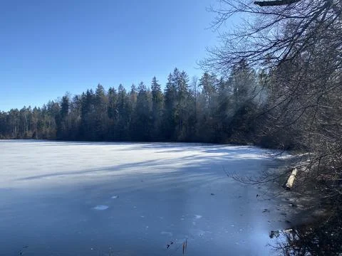 Late winter and early spring on the Waldweiher pond, Gattikon Stock Photos