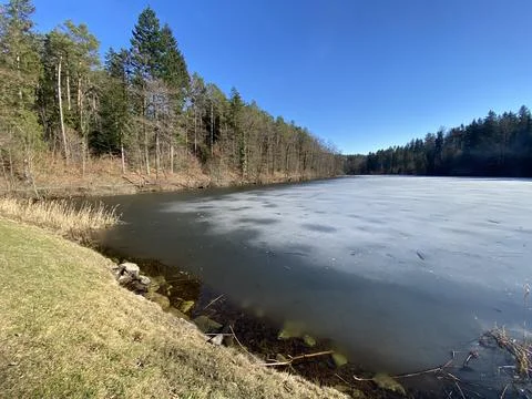 Late winter and early spring on the Waldweiher pond, Gattikon Foto stock