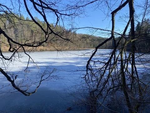 Late winter and early spring on the Waldweiher pond, Gattikon Stock Photos