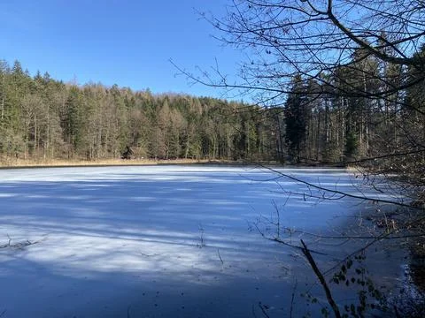 Late winter and early spring on the Waldweiher pond, Gattikon Stockfoto's