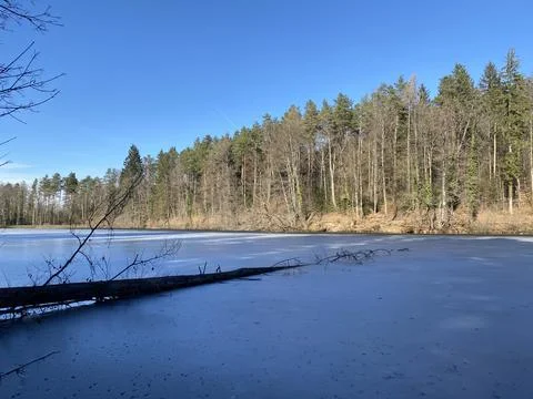 Late winter and early spring on the Waldweiher pond, Gattikon Foto stock