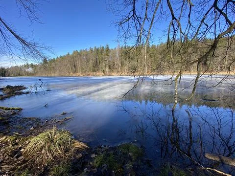 Late winter and early spring on the Waldweiher pond, Gattikon Stock Photos