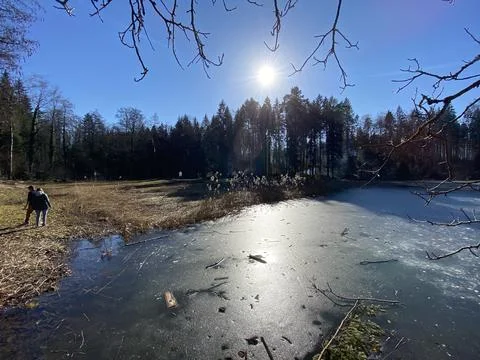 Late winter and early spring on the Waldweiher pond, Gattikon 스톡 사진