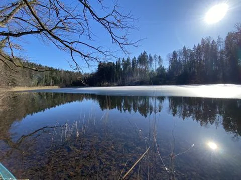 Late winter and early spring on the Waldweiher pond, Gattikon Stock Photos
