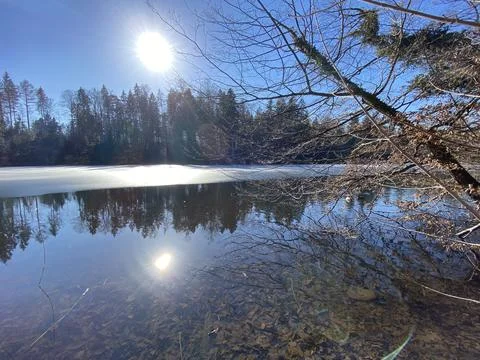 Late winter and early spring on the Waldweiher pond, Gattikon Stockfoto's