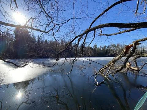 Late winter and early spring on the Waldweiher pond, Gattikon Stockfoto's