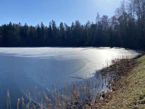 Late winter and early spring on the Waldweiher pond, Gattikon Stock Photos
